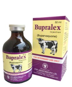 Bupralex Injection