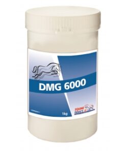 DMG 6000