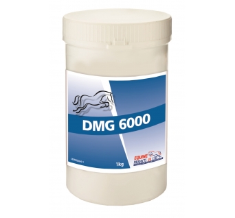 DMG 6000
