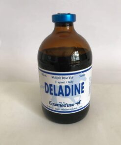 Deladine 100ml equine