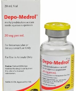 Depo-Medrol Injection for Dogs and Horses