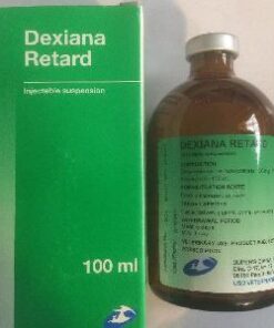 Dexiana Retard 100ml injection