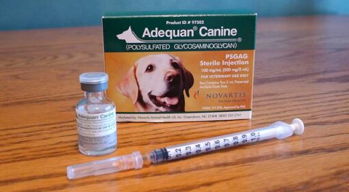 Adequan Canine 2 x 5ml vials